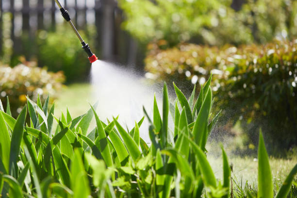 Tamper-Resistant Bait Stations for Rodents in West Hazleton