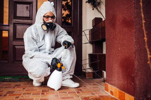 Attic and Crawl Space Rodent Treatment in West Hazleton